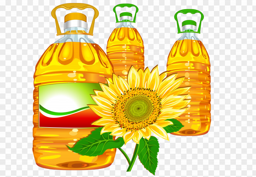 Cooking Oil Sunflower Clip Art PNG