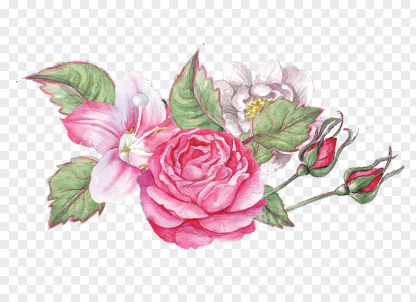 Japanese Camellia Artificial Flower Watercolor Floral Background PNG