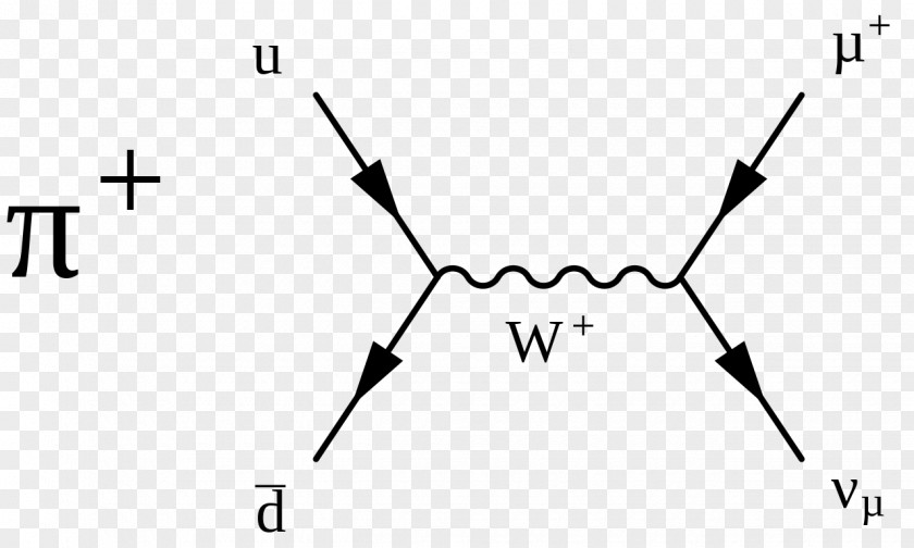 Pion Particle Physics Weak Interaction Decay Feynman Diagram PNG