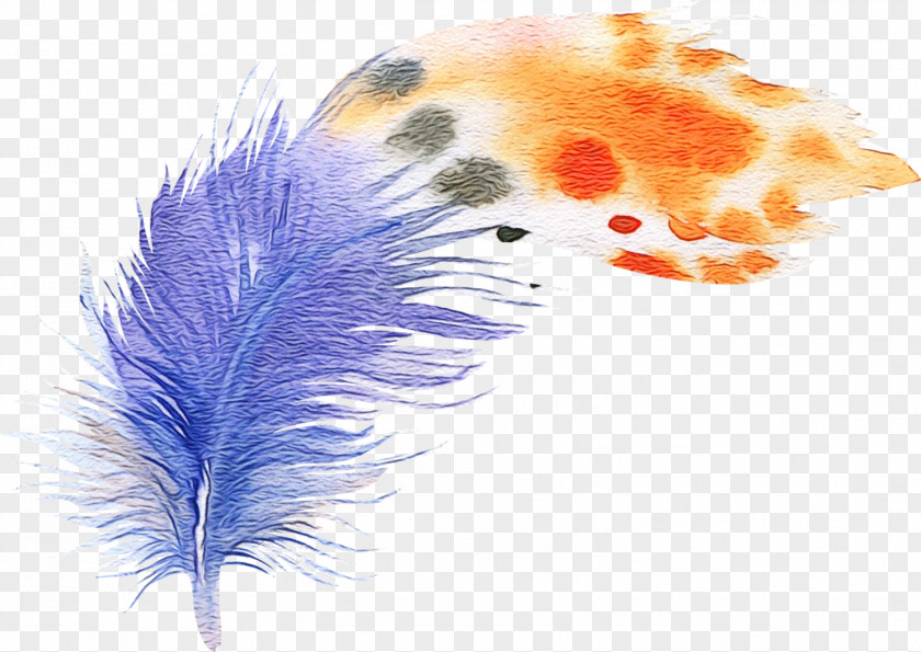 Wing Tail Watercolor Background PNG