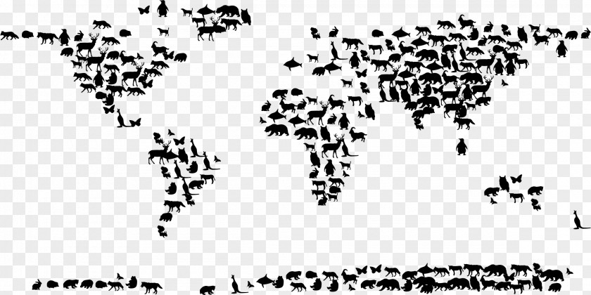 Animal Silhouettes World Map Globe Treasure PNG