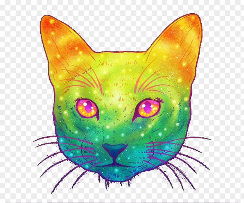 Cat Kitten Illustrator Felidae PNG