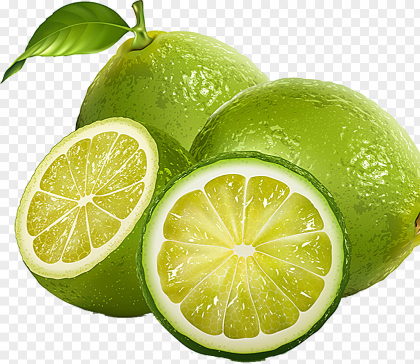 Fresh Lemon Lemon-lime Drink Juice PNG