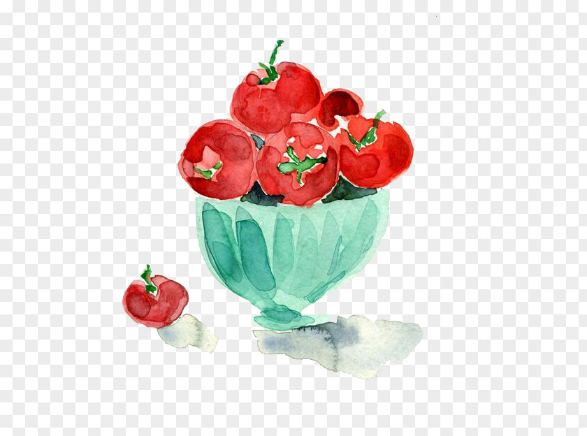 Tomato Watercolor Painting Illustration PNG