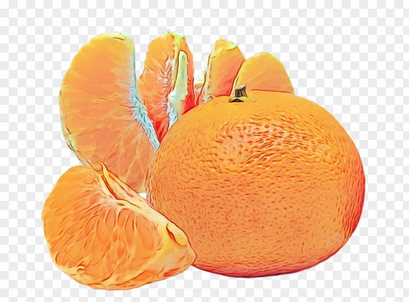 Valencia Orange Tangelo PNG
