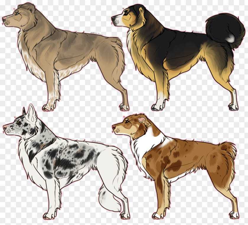 Dog Breed Hunting Street PNG