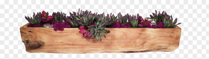 Flower Cut Flowers Purple Violet Magenta PNG