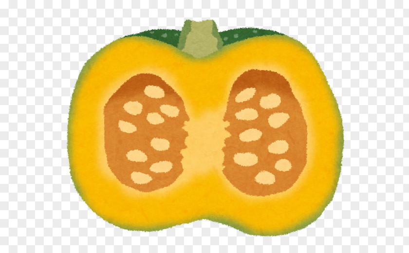 Pumpkin Winter Squash Food Folate Nutrient PNG