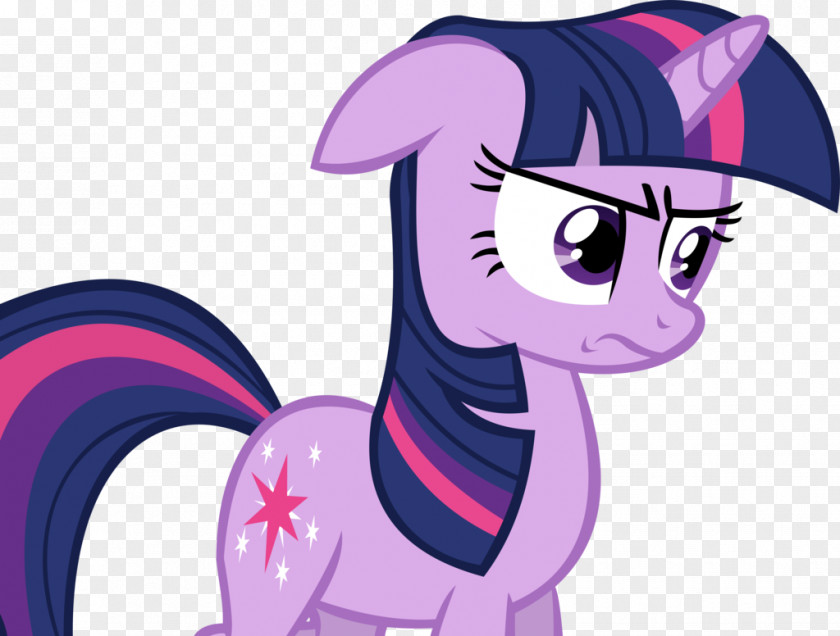 Sparkle Rarity Twilight Pony Rainbow Dash Pinkie Pie PNG