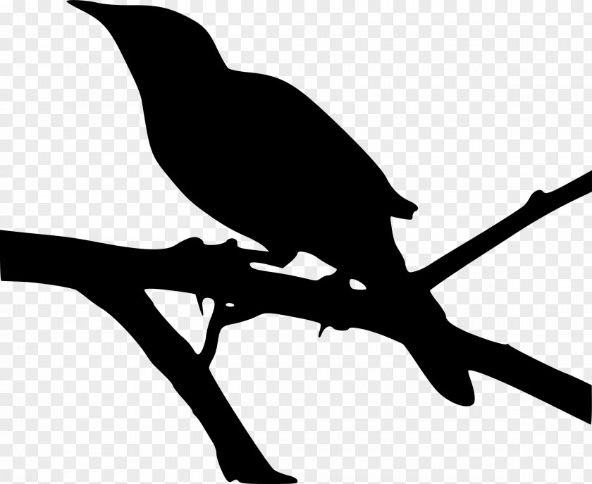 Tree Silouhette To Kill A Mockingbird Northern Clip Art PNG