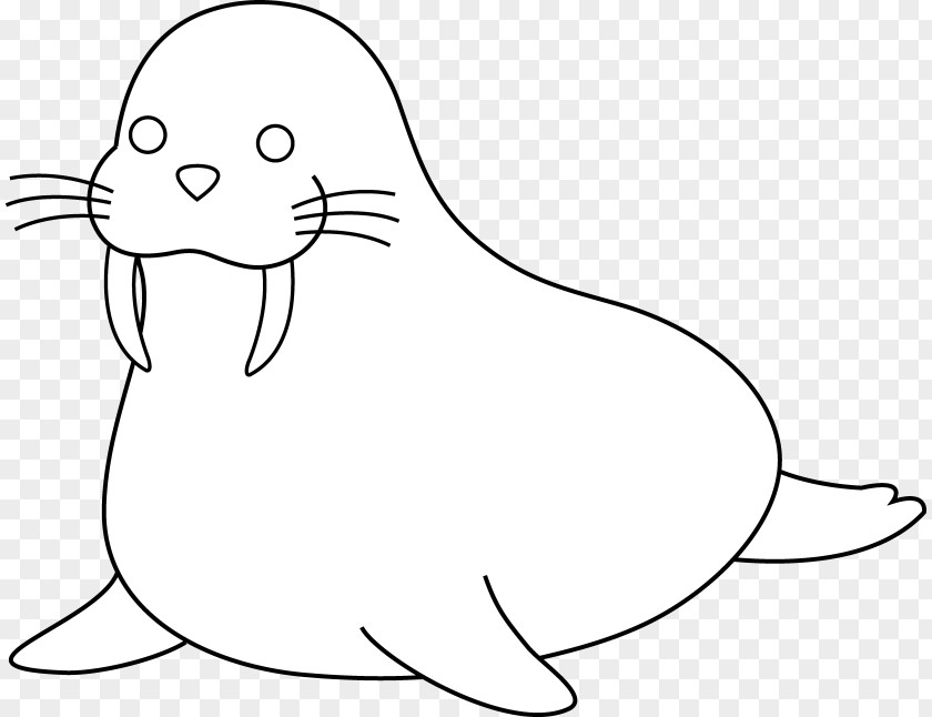 Walrus Coloring Book Puppy Child Clip Art PNG