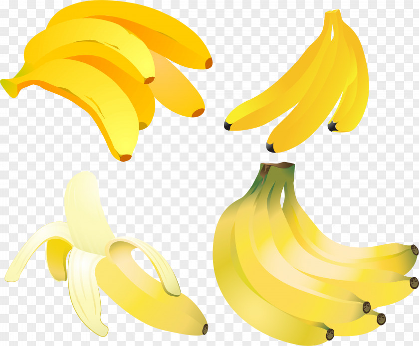 Banana Fruit PNG