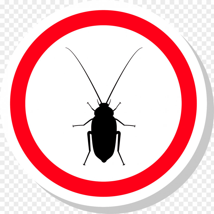 Cockroach Insect Invertebrate Arthropod Circle Clip Art PNG