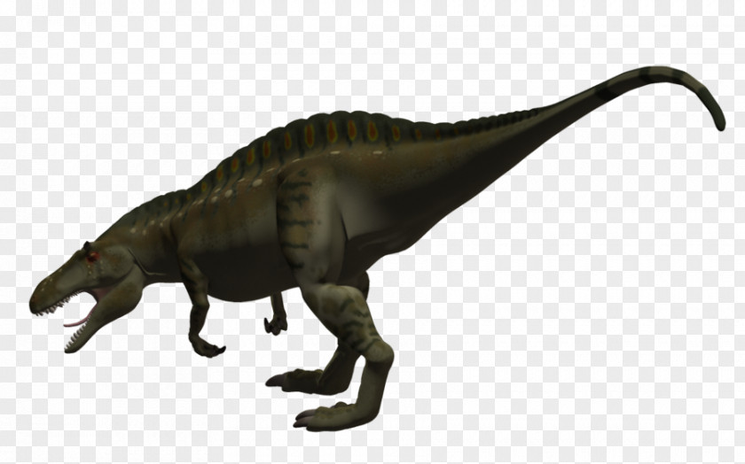 Dinosaur Tyrannosaurus Acrocanthosaurus Allosaurus Spinosaurus Ceratosaurus PNG