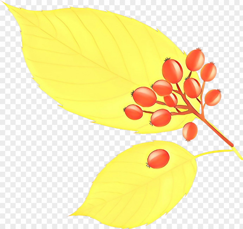 Flower Plant Leaf Yellow Clip Art PNG