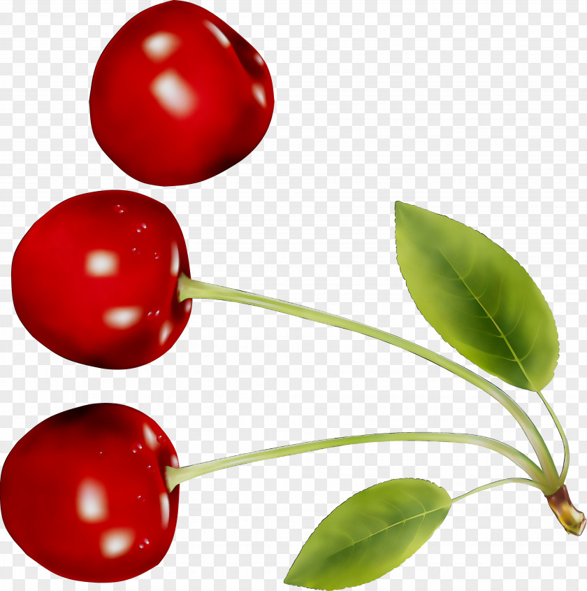 Lingonberry Natural Foods PNG