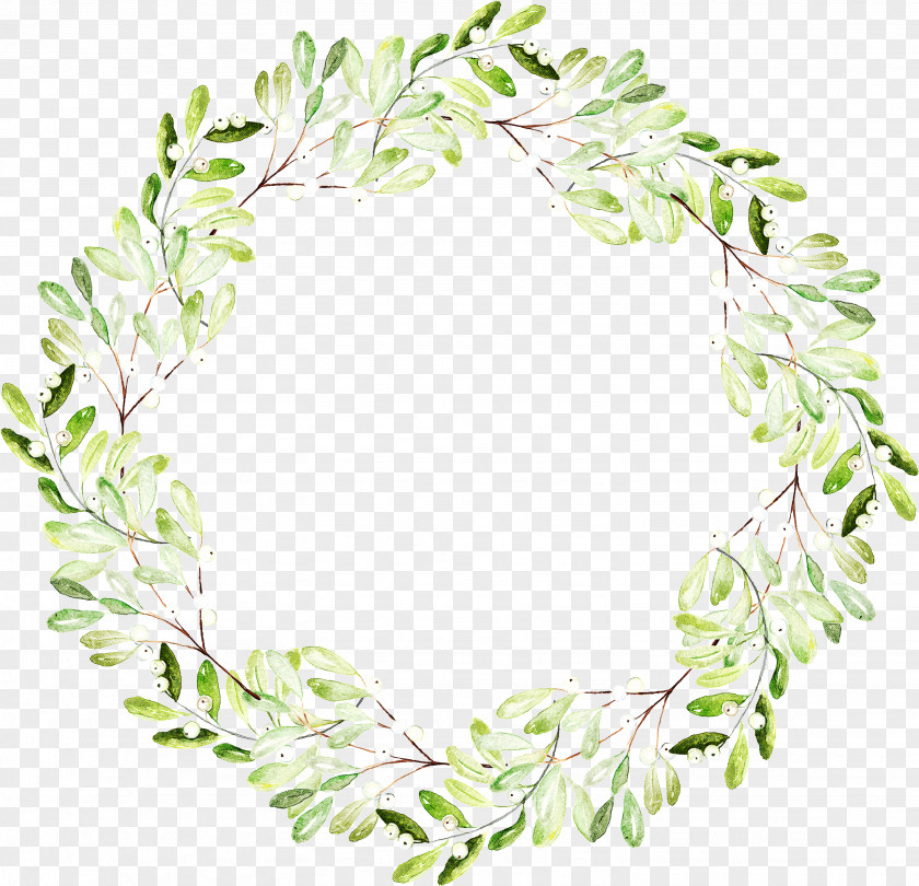 Vascular Plant Lei Ivy PNG
