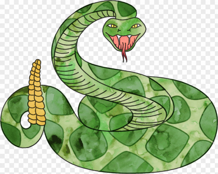 About Us Rattlesnake Vipers Clip Art PNG