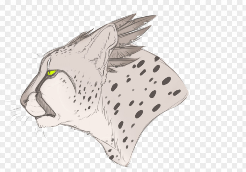 Cheetah Drawing Line Art Cat Sketch PNG