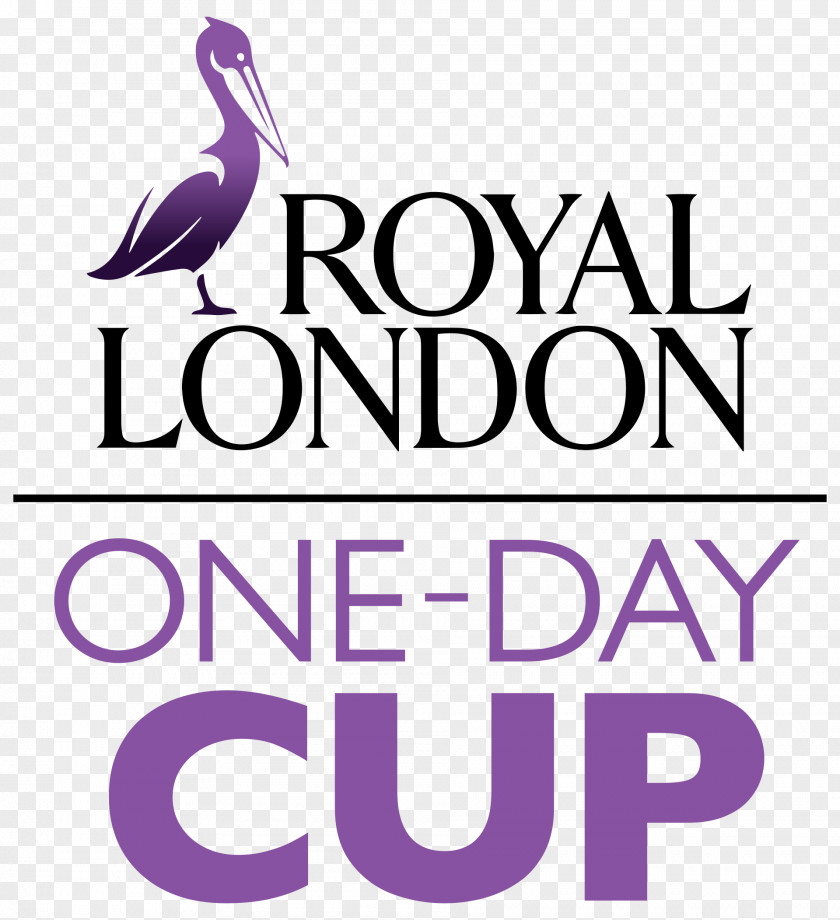 Cricket Cup 2018 Royal London One-Day Group 2017–18 Big Bash League Season Asset Management PNG