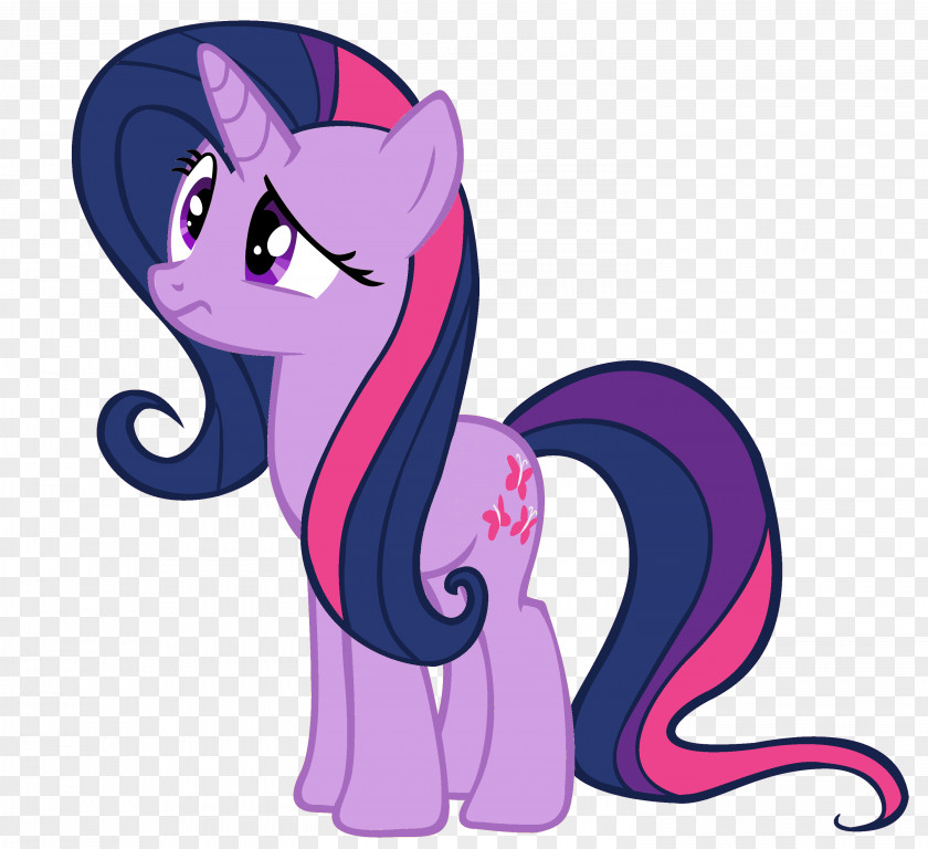 Sparkle Pony Twilight Fluttershy Applejack Cutie Mark Crusaders PNG