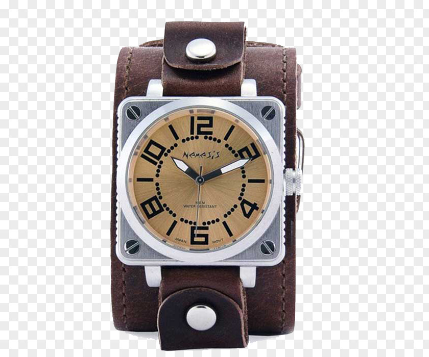 Watch Strap PNG