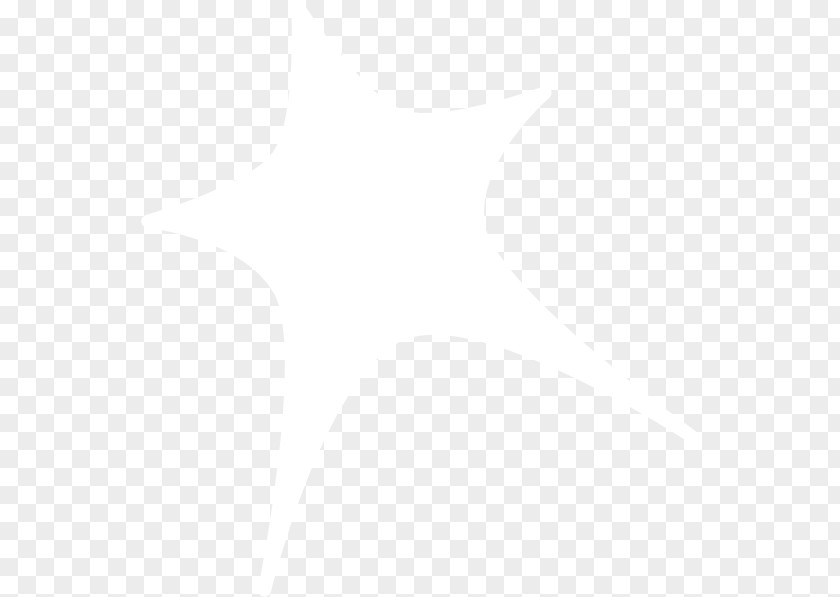 White Star United States Email Information Company PNG