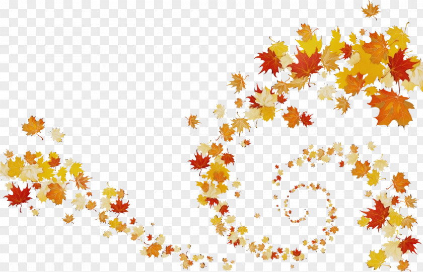 Yellow Leaf Autumn Drawing PNG