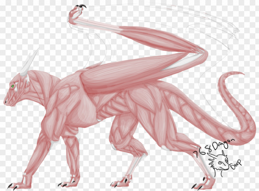 Anatomy Muscle Dragon The Elder Scrolls V: Skyrim Mammal Reptile PNG
