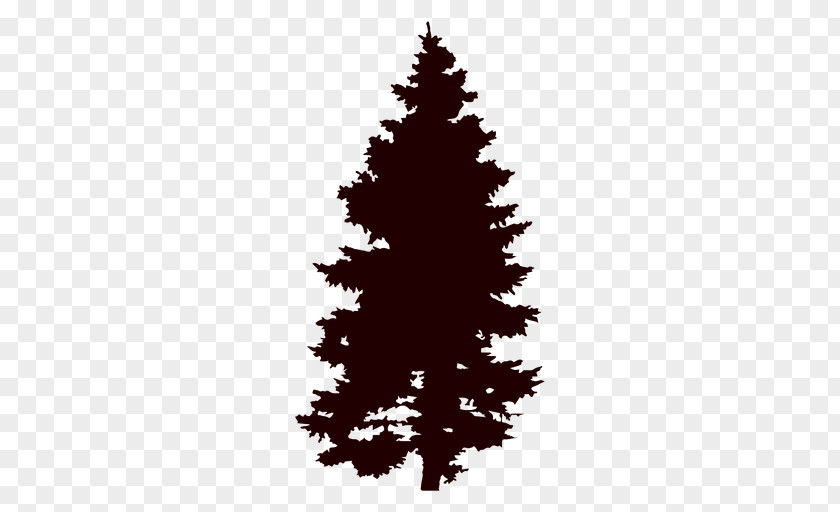Bush Vector Tree Pine Clip Art PNG