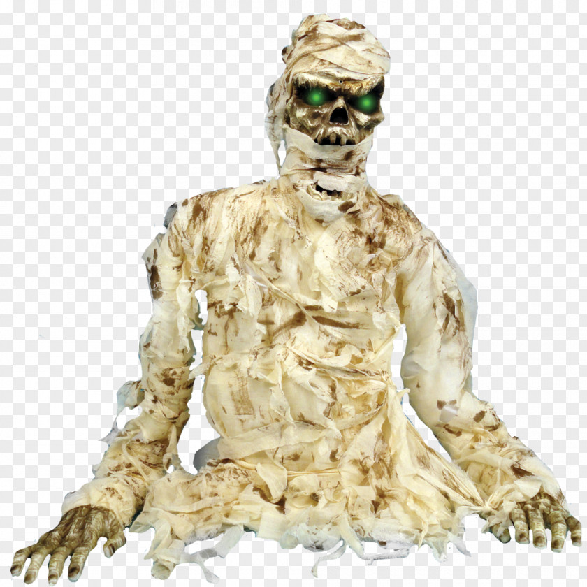 Chinchorro Mummies Thrashing Mummy Grave Toy PNG