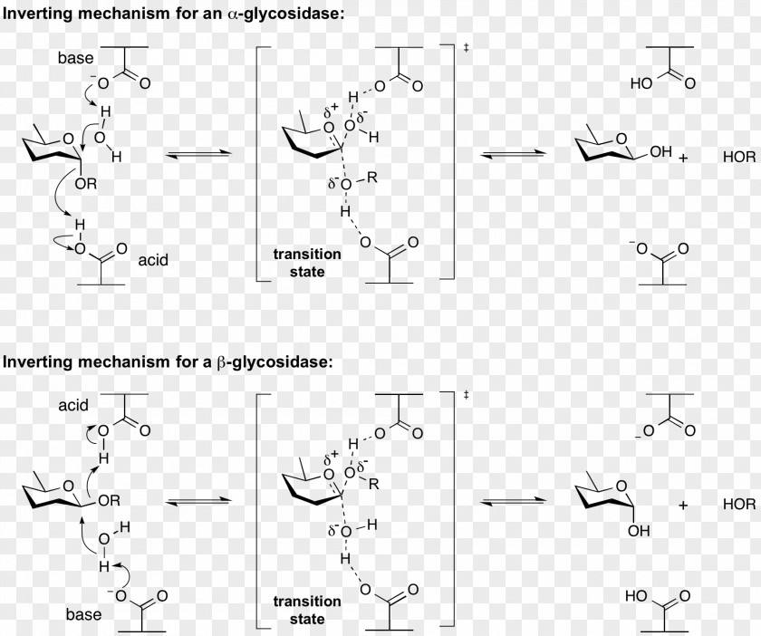 Homogeneous Catalysis Acid Enzyme Document PNG