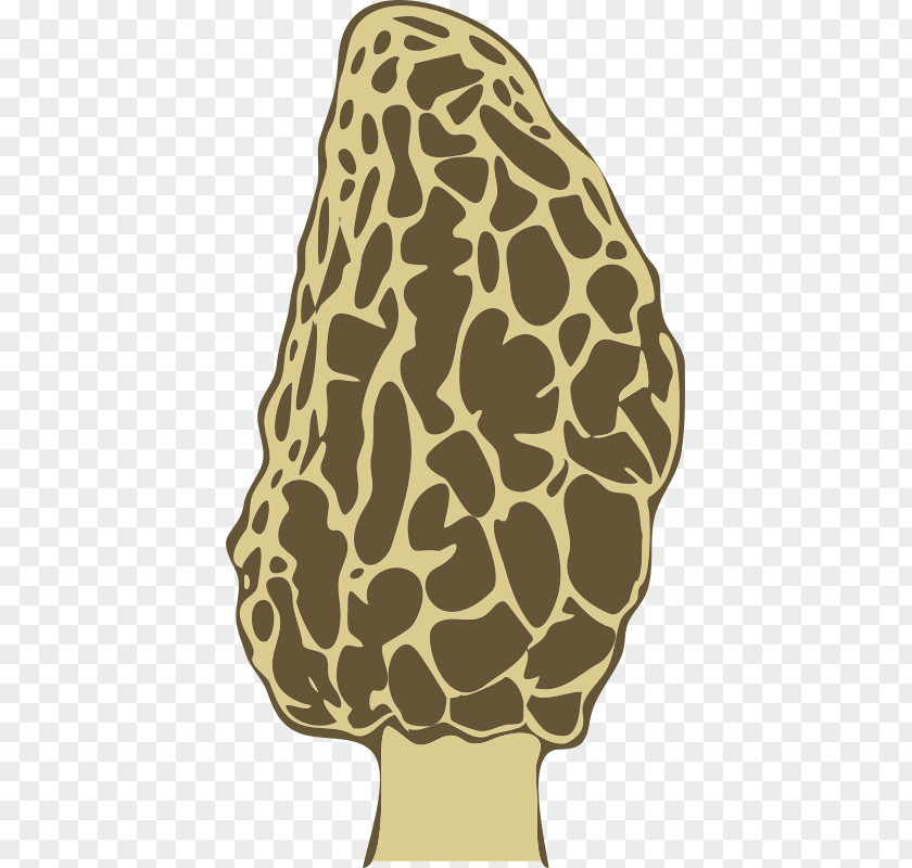 Morel Mushroom Yellow Fungus Giraffe False PNG