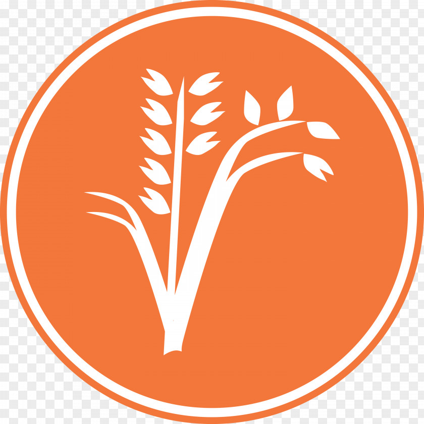 Oats Wheat Logo PNG