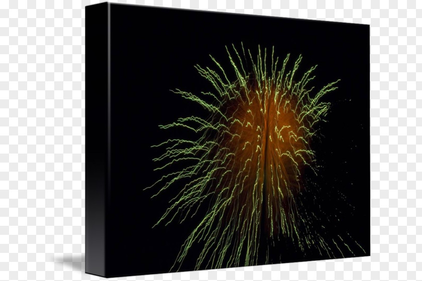 Paper Firework Imagekind Art Photography Poster Fireworks PNG