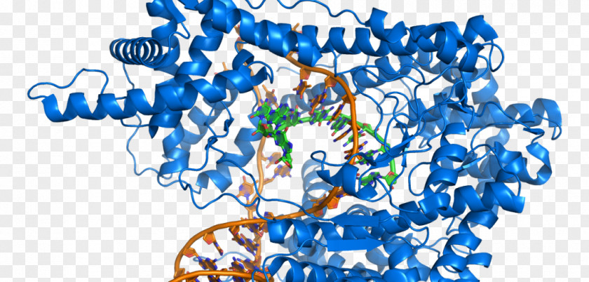 Science Biochemistry DNA Medicine Nucleic Acid Genetics PNG
