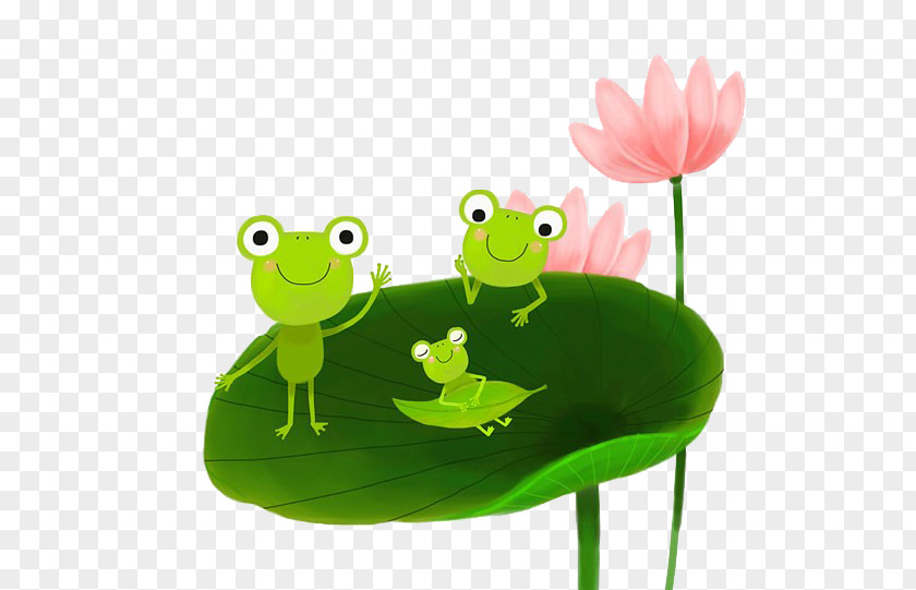 A Frog On Lotus Leaf True Tree Illustration PNG