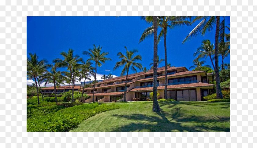 A Trip To Hawaii Resort Property Vacation Arecaceae Sky Plc PNG