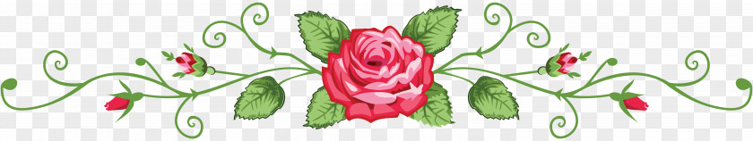 Design Floral Cut Flowers Rose Font PNG