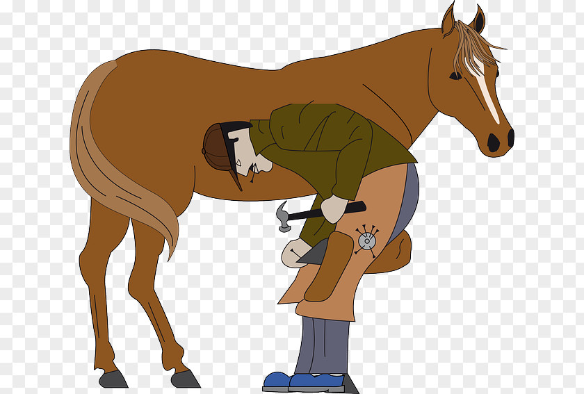 Horse Mare Farrier Clip Art Openclipart PNG