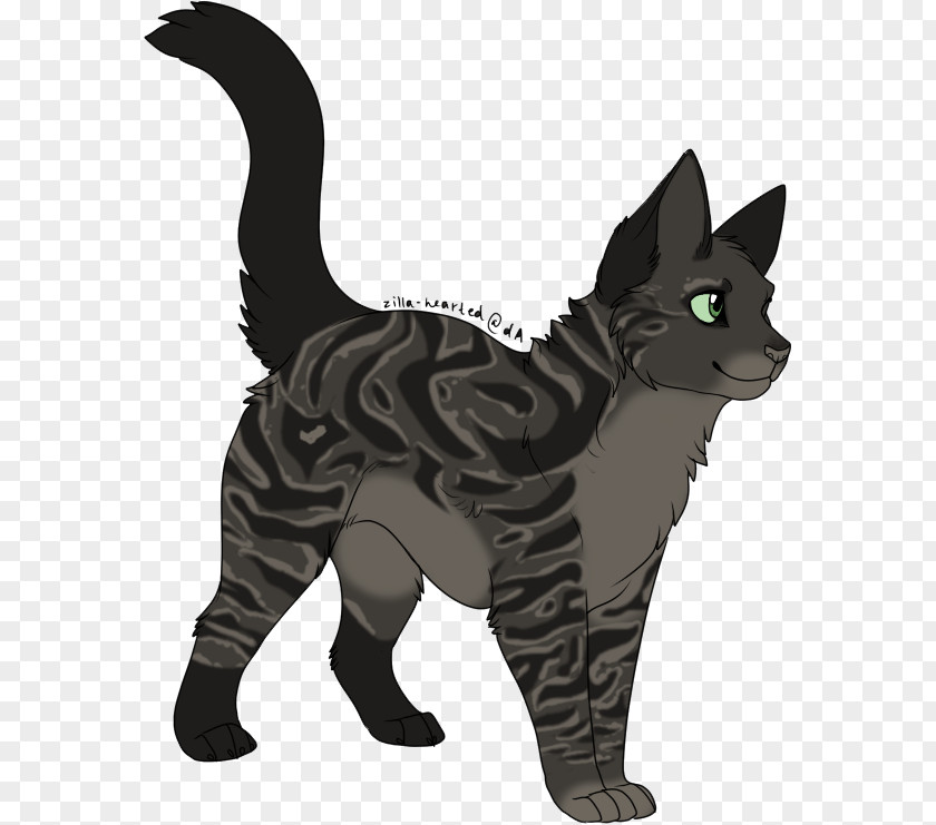 Kitten Whiskers Domestic Short-haired Cat Tabby Black PNG