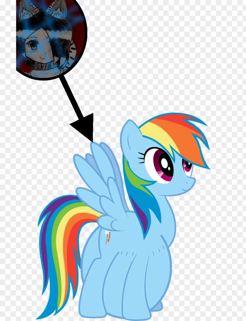 Pool Vector Rainbow Dash My Little Pony Twilight Sparkle PNG