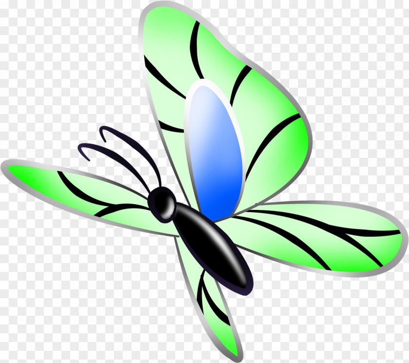 Butterfly Insect Clip Art PNG