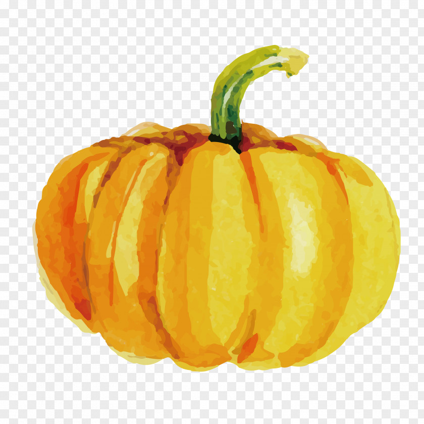 Golden Pumpkin Calabaza Jack-o-lantern Winter Squash Vegetarian Cuisine PNG
