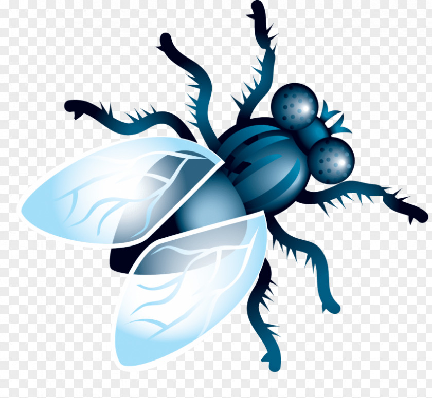 Insect Clip Art Image Desktop Wallpaper PNG