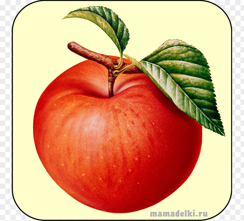 Apple Juice Clipart Jigsaw Puzzles Clip Art JPEG PNG