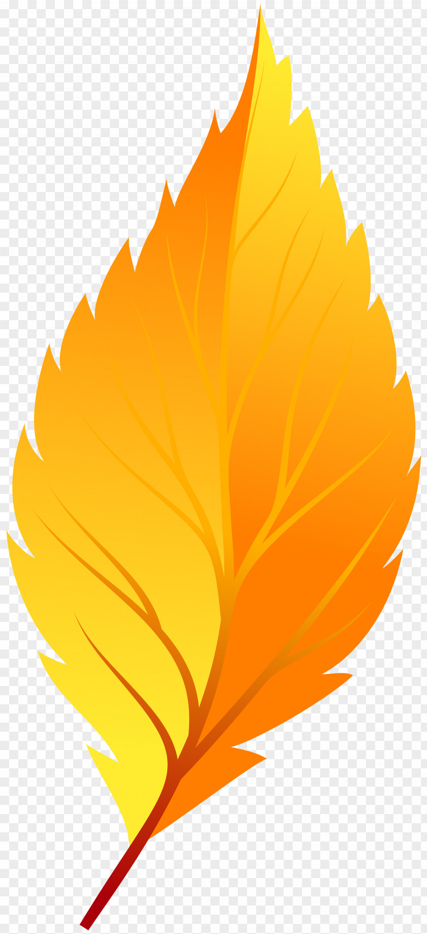 Autumn Leaves Leaf Color Yellow Clip Art PNG