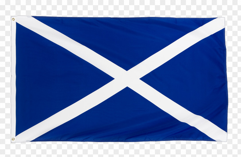 Business Scotland Scottish Development International Economy Company PNG