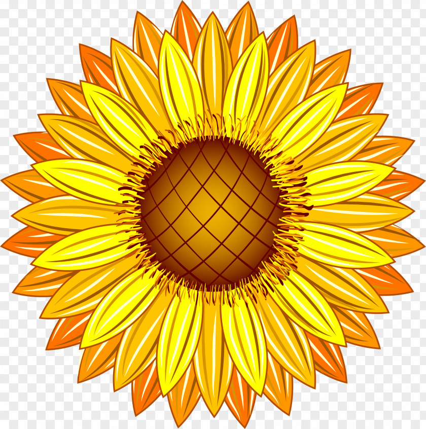 Yellow Sunflower Common Illustration PNG
