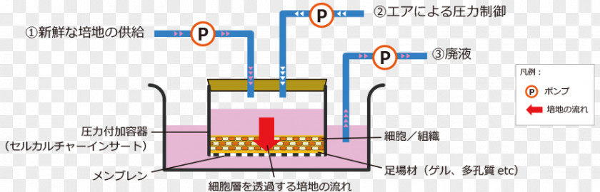 Cell Culture Microbiological Growth Medium 高砂電気工業（株） In Vivo PNG